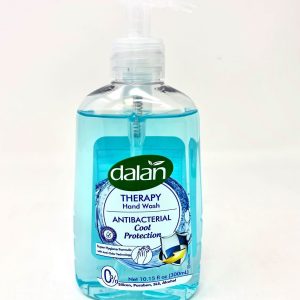 PPE DALAN ANTIBACTERIAL HAND WASH - COOL PROTECTION 300ML